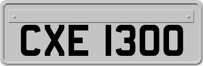 CXE1300
