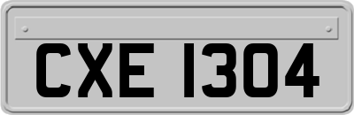 CXE1304