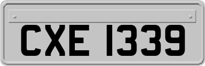 CXE1339
