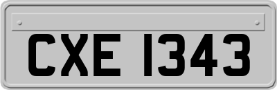 CXE1343