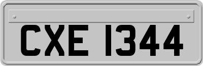 CXE1344
