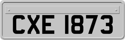 CXE1873