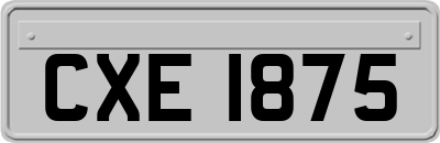 CXE1875