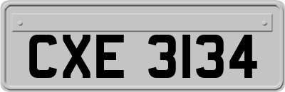 CXE3134