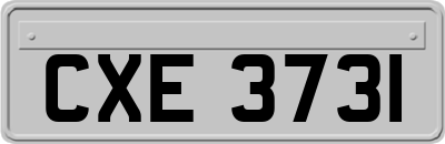 CXE3731