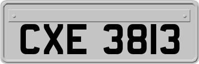 CXE3813