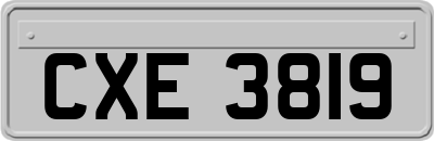 CXE3819