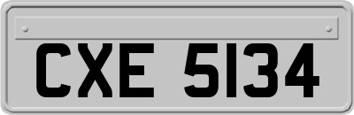 CXE5134