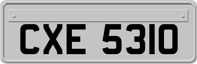 CXE5310