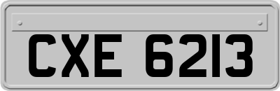 CXE6213