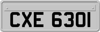 CXE6301