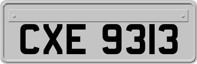 CXE9313