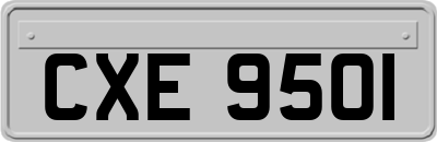 CXE9501