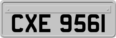 CXE9561