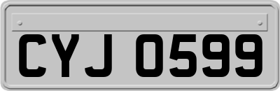 CYJ0599
