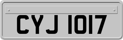 CYJ1017