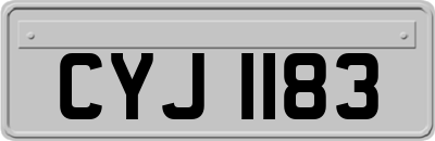 CYJ1183