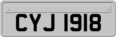 CYJ1918