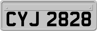 CYJ2828