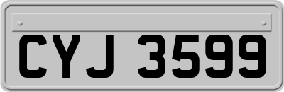 CYJ3599