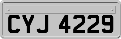 CYJ4229