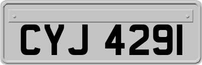 CYJ4291