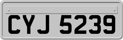 CYJ5239