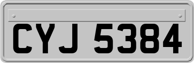 CYJ5384