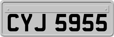 CYJ5955