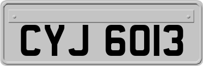 CYJ6013