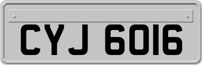 CYJ6016