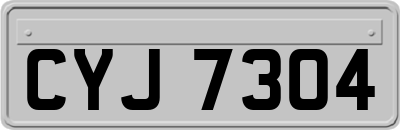 CYJ7304