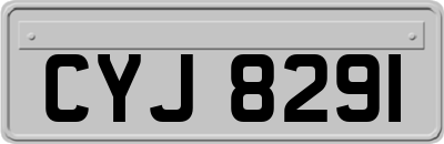 CYJ8291