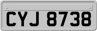 CYJ8738