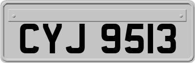 CYJ9513