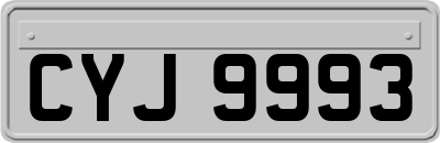 CYJ9993