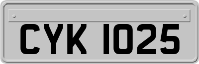 CYK1025