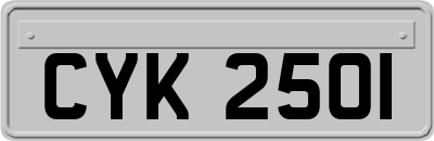 CYK2501