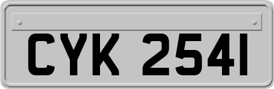 CYK2541