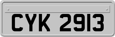 CYK2913