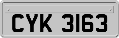 CYK3163