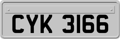 CYK3166