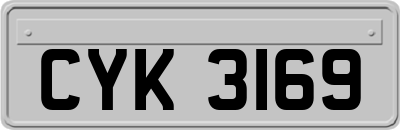 CYK3169