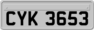 CYK3653