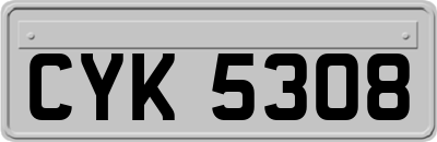 CYK5308