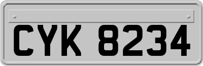 CYK8234