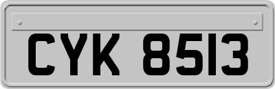 CYK8513