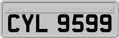 CYL9599