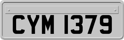 CYM1379