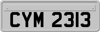 CYM2313